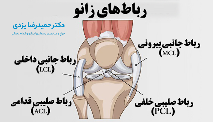 انتخاب بهترین جراح آسیب رباط صلیبی قدامی